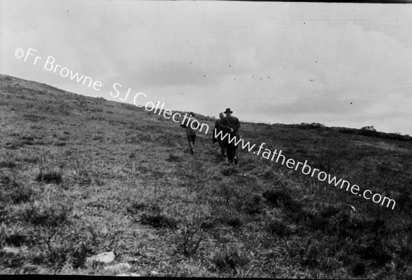 ASCENDING THE SLOPES : GRIANAN AILEACH